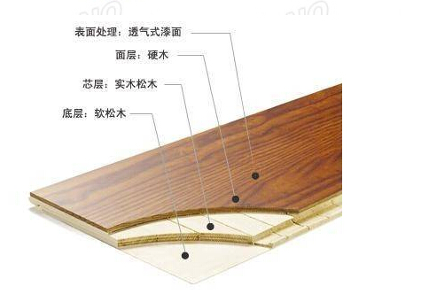 www.njhmjr.cn