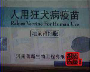 ÿ|桷֮