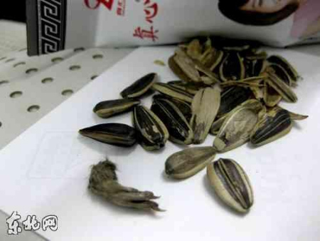 “真心瓜子”中竟吃出了毛茸茸的老鼠爪子。圖片由于同學(xué)提供 “真心瓜子”中竟吃出了毛茸茸的老鼠爪子。圖片由于同學(xué)提供