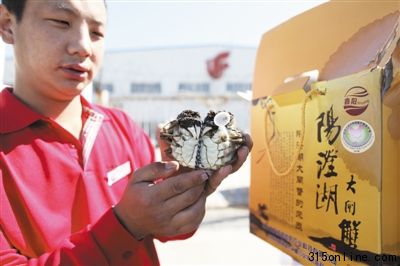 9月17日,首都機(jī)場(chǎng)貨運(yùn)站,工作人員在檢查空運(yùn)來(lái)的首批陽(yáng)澄湖大閘蟹。當(dāng)日,剛剛開(kāi)始捕撈的陽(yáng)澄湖大閘蟹空運(yùn)到北京。 9月17日,首都機(jī)場(chǎng)貨運(yùn)站,工作人員在檢查空運(yùn)來(lái)的首批陽(yáng)澄湖大閘蟹。當(dāng)日,剛剛開(kāi)始捕撈的陽(yáng)澄湖大閘蟹空運(yùn)到北京。