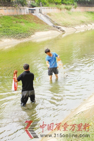 河水雖然清澈,本質(zhì)卻是尾水,其中的魚類不宜食用。 河水雖然清澈,本質(zhì)卻是尾水,其中的魚類不宜食用。
