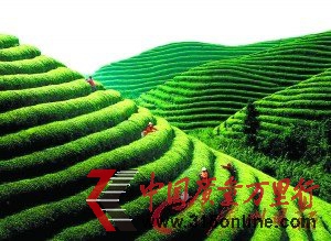 r(ji)؈44fһ W(wng)|(zh)䡰X믂ˡ